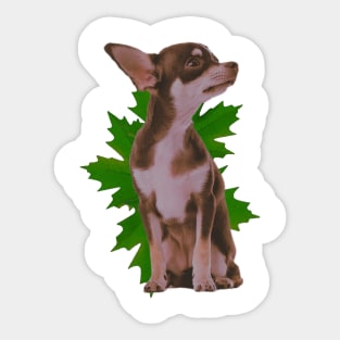 Nature dog Sticker